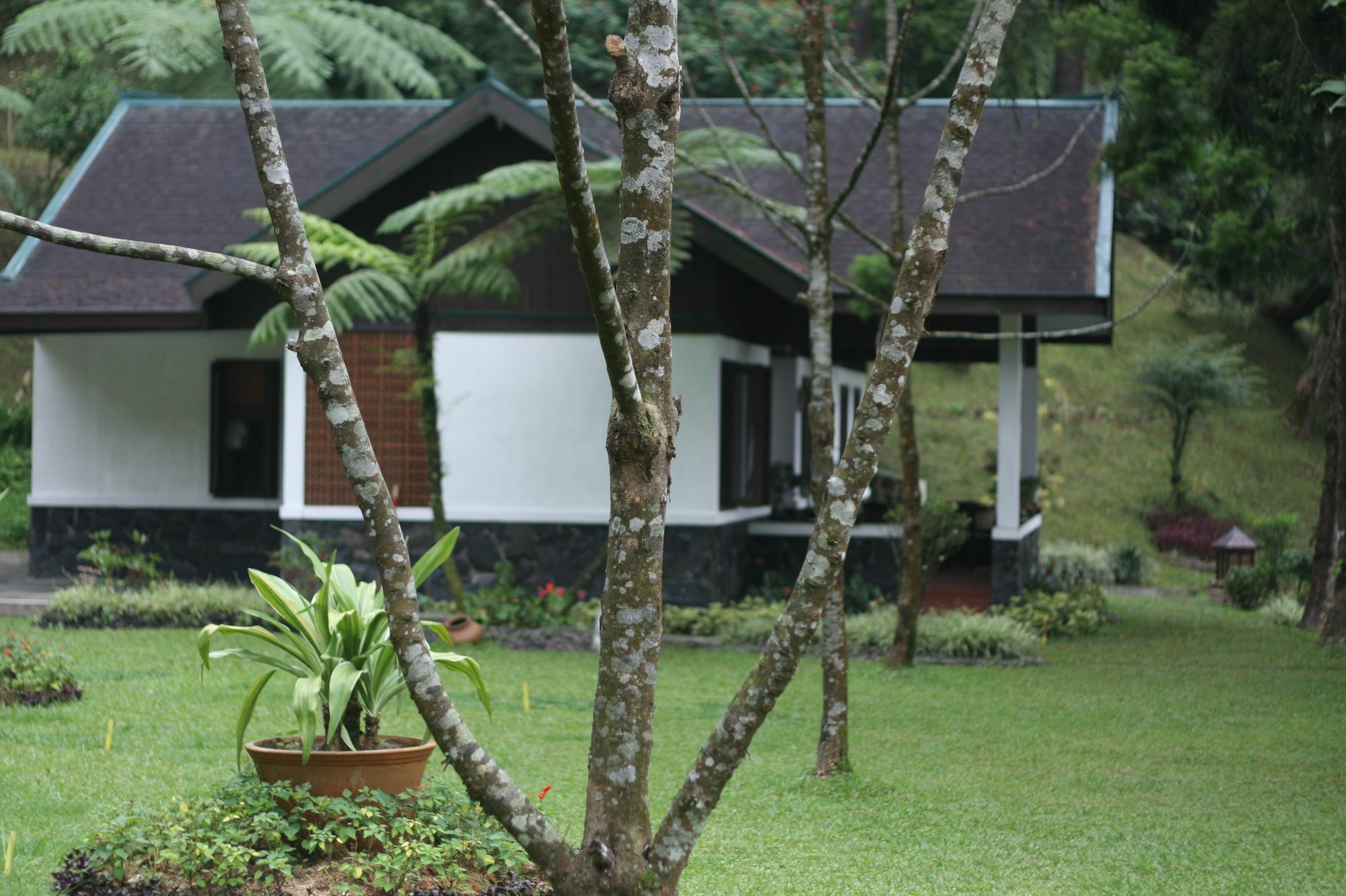 Puncak Pass Resort Exterior photo